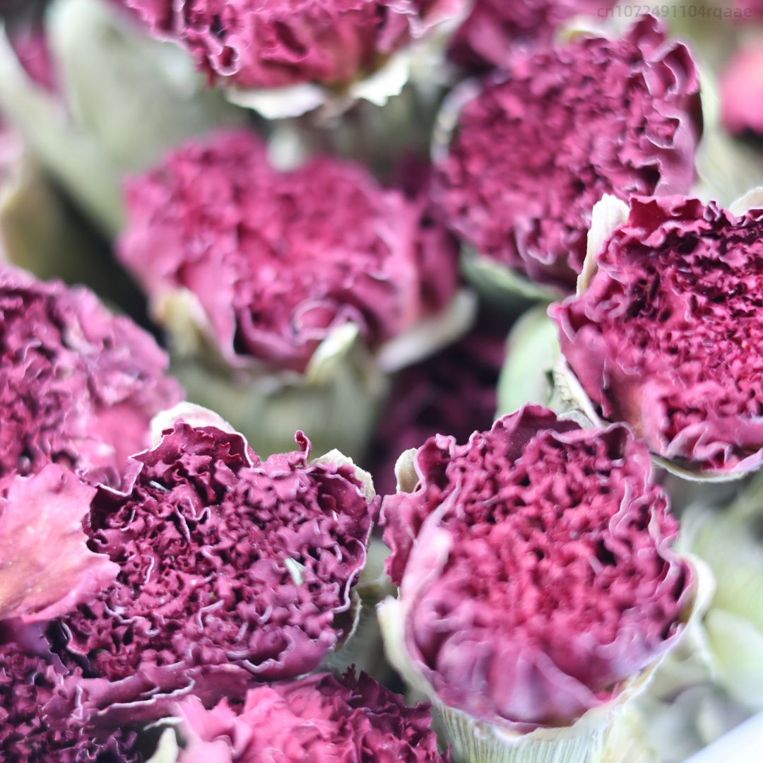 Potpourri Dried Flower - 250g/500g プレミアム天然カーネーションドライフラワー、石鹸作り、キャンドルクラフト、ウェディングデコレーション、ポプリ、DIYホームデコレーション用