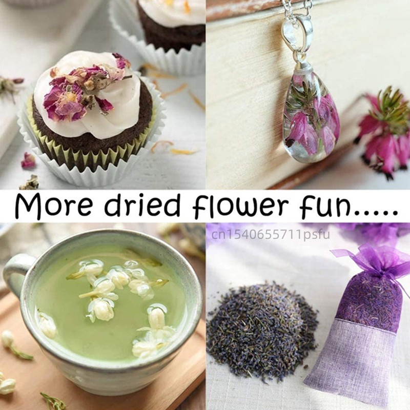 高品質天然ジャスミンのドライフラワーバッド、ジャスミンの花び - Potpourri Dried Flower のレビューと価格